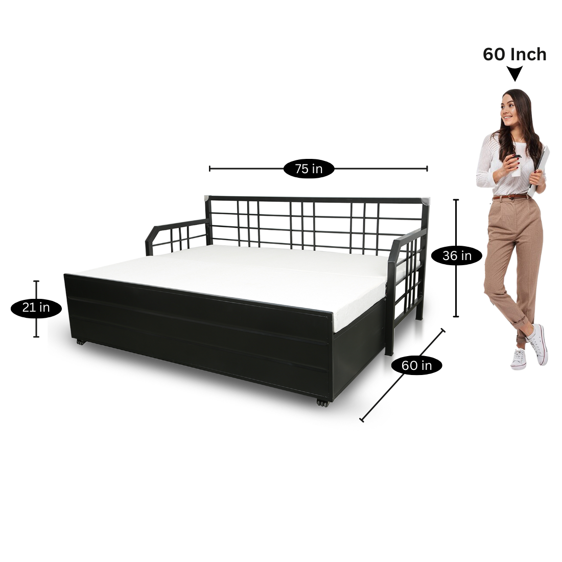 Black Orchid Hydraulic Storage Metal Sofa Cum Bed with Mattress & Pillow (Color - White)