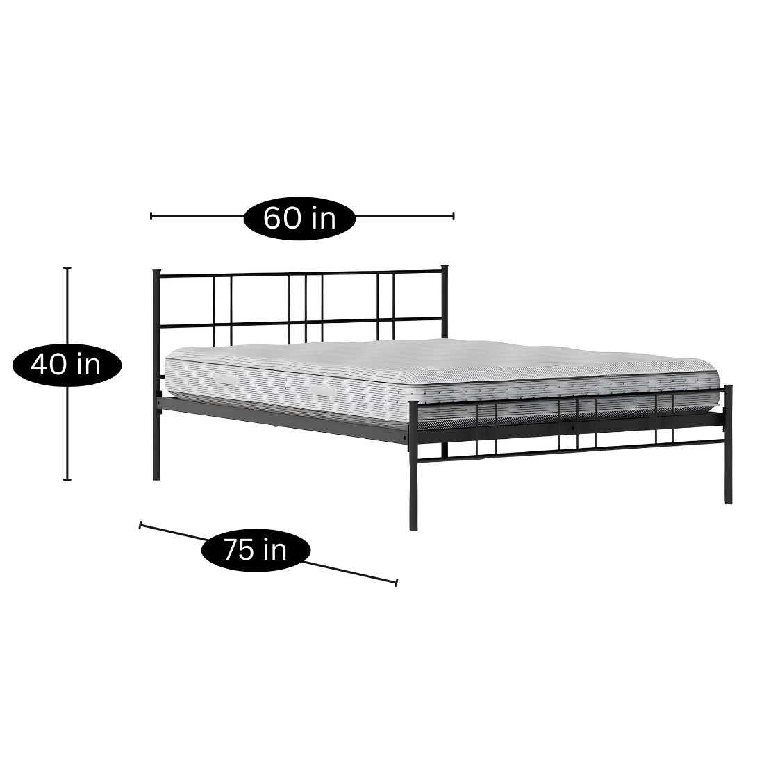 Mortlake Without Storage Metal Bed with Designer Headrest (Color - Black)