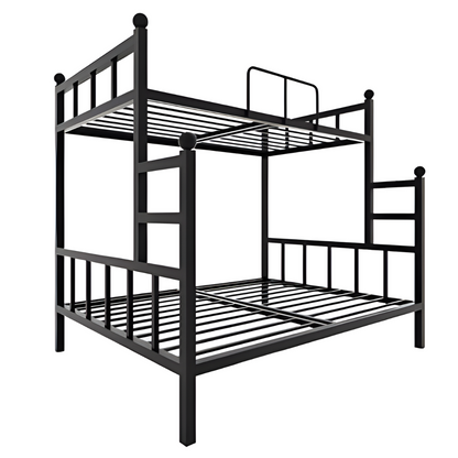 Citrine Metal Bunk Bed in Black Color