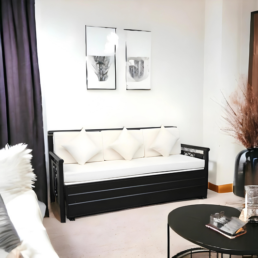 Black Crossandra Hydraulic Storage Metal Sofa Bed with Mattress & Pillow (Color - White)