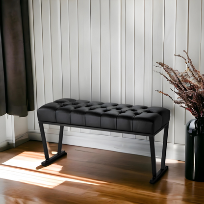 Molly Designer Black Ottoman Metal Bench with Black Cushion