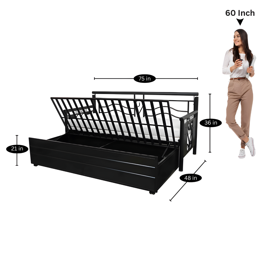 Black Crossandra Hydraulic Storage Metal Sofa Bed with Mattress & Pillow (Color - White)