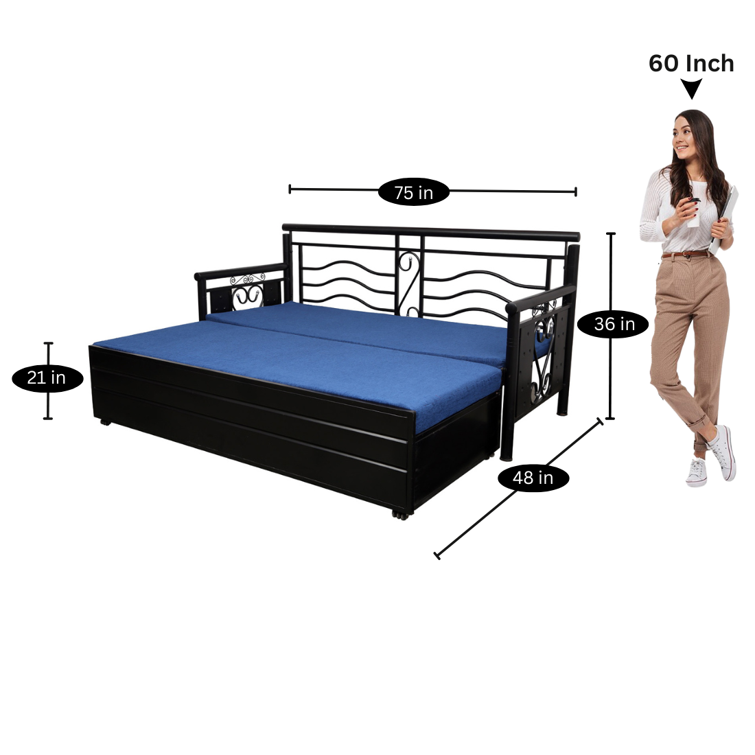 Black Crossandra Hydraulic Storage Metal Sofa Cum Bed with Mattress & Pillow (Color - Blue)