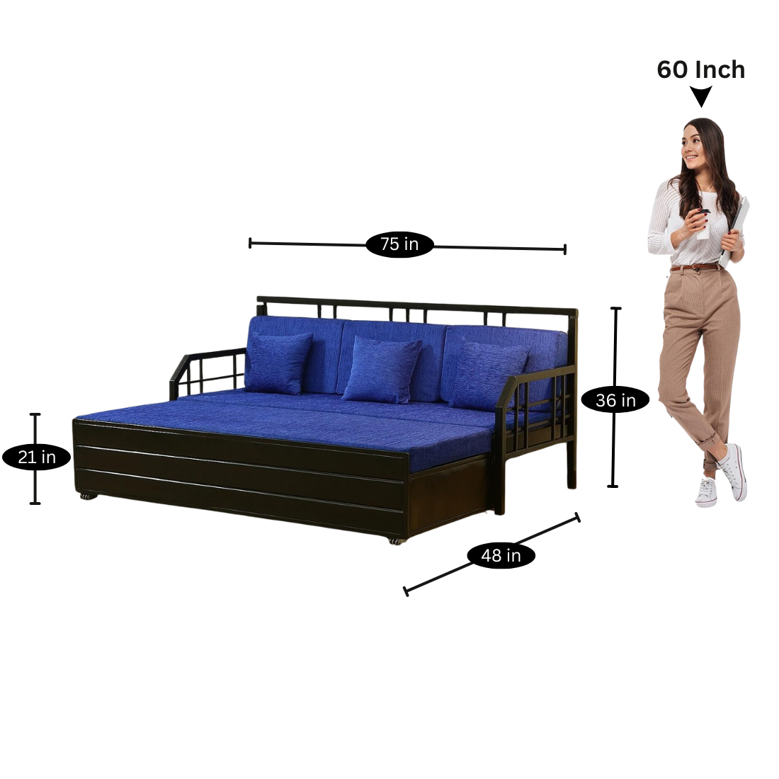 Black Orchid Hydraulic Storage Metal Sofa Bed with Mattress & Pillow (Color - Blue)