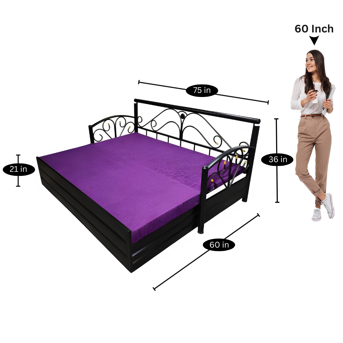 Black Lily Hydraulic Storage Metal Sofa Cum Bed with Mattress & Pillow (Color - Purple)